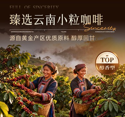 过年送礼新选择！仁和左旋肉碱黑咖啡，健康燃脂超给力